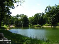 IMG_2683.jpg