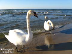 IMG_2728.jpg