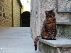 Vernazza (09.09.2014)