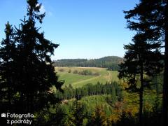 IMG_1596.jpg