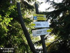 IMG_1599.jpg