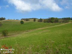 IMG_1606.jpg