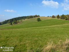 IMG_1610.jpg