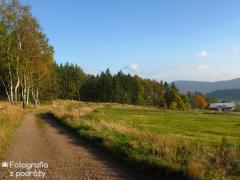 IMG_1628.jpg