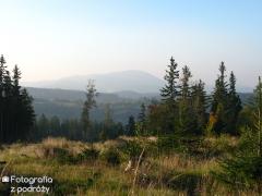 IMG_1633.jpg