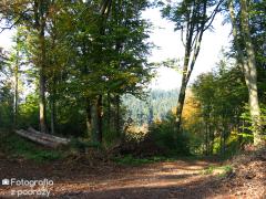 IMG_1662.jpg