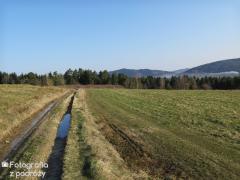 IMG_0034.jpg