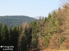 IMG_0041.jpg