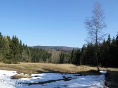 IMG_0042.jpg