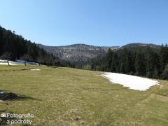 IMG_0045.jpg