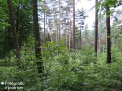 Wrocław i okolice (23.05.2015 - 24.05.2015)