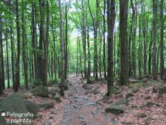 IMG_0122.jpg