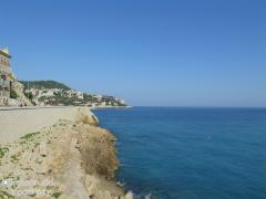 IMG_0773.jpg