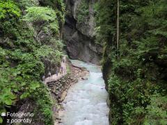 IMG_0986.jpg
