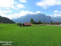 IMG_0988.jpg