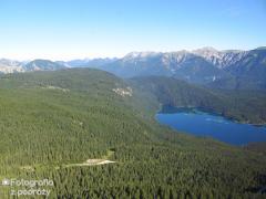 IMG_1016.jpg