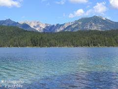 IMG_1111.jpg