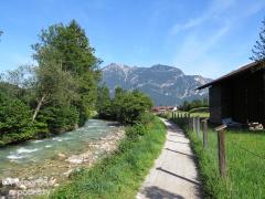 IMG_1146.jpg