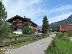 IMG_1173.jpg