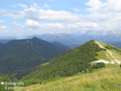 IMG_1189.jpg