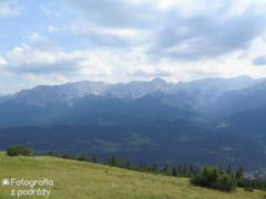 IMG_1211.jpg