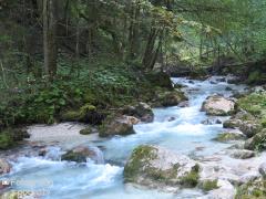 IMG_1239.jpg
