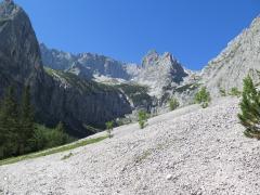 IMG_1289.jpg