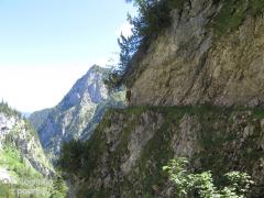 IMG_1295.jpg