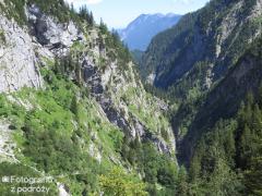 IMG_1306.jpg