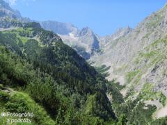 IMG_1322.jpg