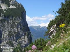 IMG_1343.jpg