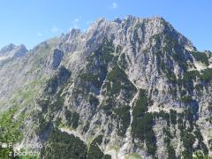IMG_1345.jpg