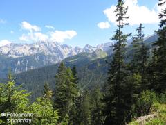 IMG_1362.jpg