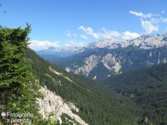IMG_1363.jpg
