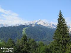 IMG_1371.jpg