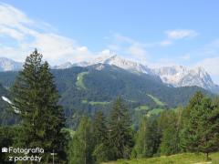 IMG_1376.jpg