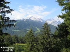 IMG_1385.jpg