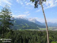 IMG_1393.jpg