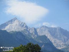 IMG_1431.jpg