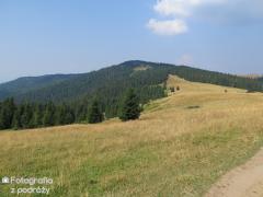 IMG_1537.jpg