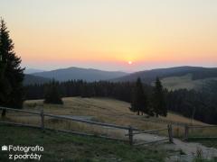 IMG_1616.jpg