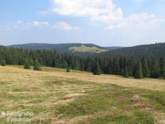 IMG_1686.jpg