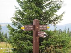 IMG_1699.jpg