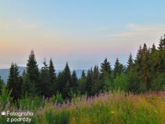 IMG_1802.jpg