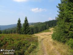 IMG_1835.jpg