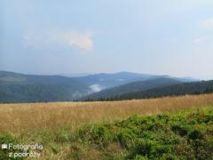 IMG_1843.jpg