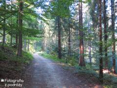Krynica 2015 (03.10.2015 - 05.10.2015)