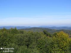 IMG_2040.jpg