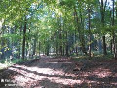 IMG_2056.jpg