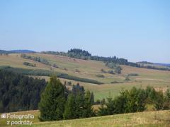 IMG_2076.jpg